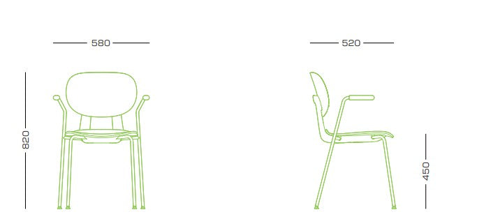Dining Arm Chair | FIN