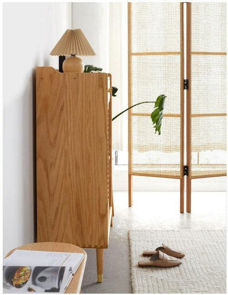 2 Door Shoe Cabinet with Drawers | SIDDH - onehappyhome