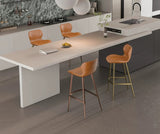 Ergonomic Bar Chair | AADI