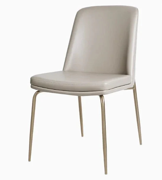 dining chair with steel frame