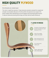 Modern plywood chair with 7-layer construction, showcasing durable hardwood core and refined edge craftsmanship.