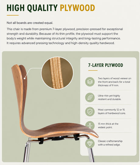 Modern plywood chair with 7-layer construction, showcasing durable hardwood core and refined edge craftsmanship.