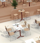 Dining Arm Chair | FIN