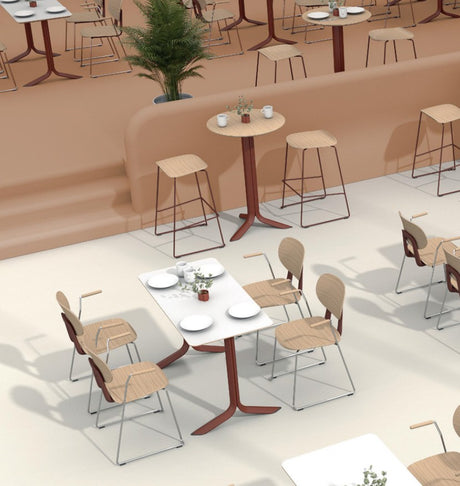 Dining Arm Chair | FIN