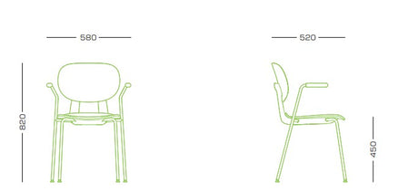 Dining Arm Chair | FIN