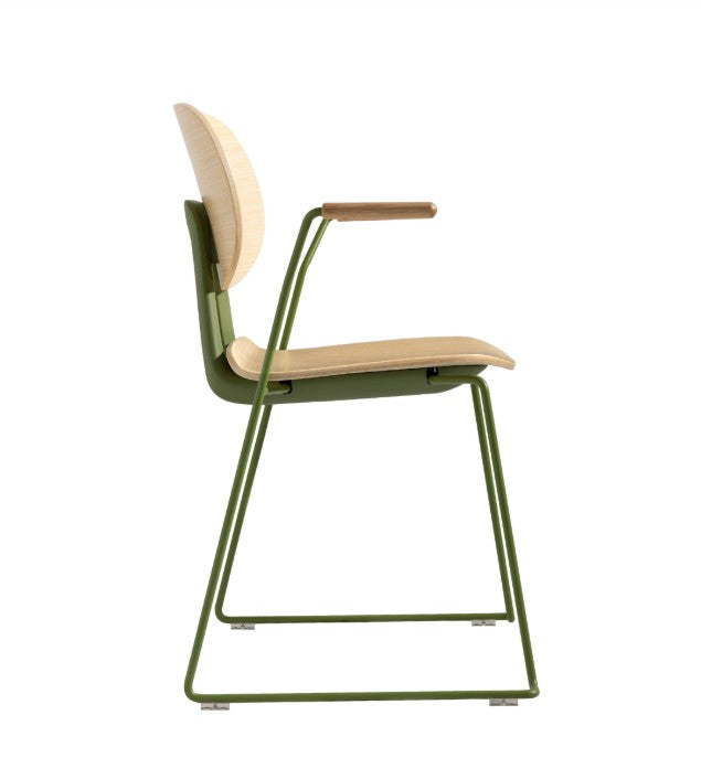 Dining Arm Chair with Sled Base Frame | FIN