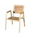 Outdoor Dining Arm Chair | DANIEL