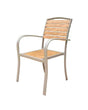 Fossil dining outdoor arm chair