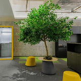 Tree Round Bar Table | ISKRA - onehappyhome